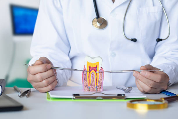 Best Emergency Broken Tooth Repair in Mystic, CT